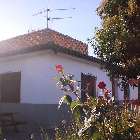 Casa Los Olivos Gravalos Exterior photo